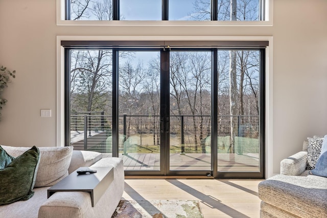 doorway featuring a towering ceiling and wood finished floors