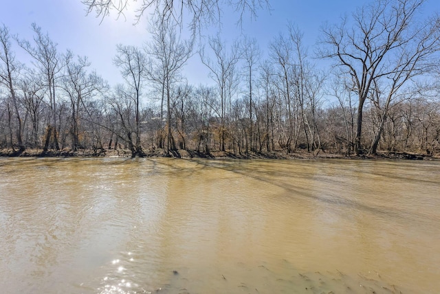 view of water feature with a wooded view