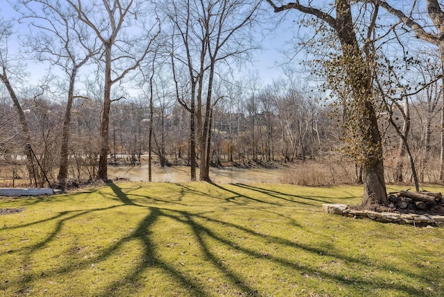 view of yard with a view of trees