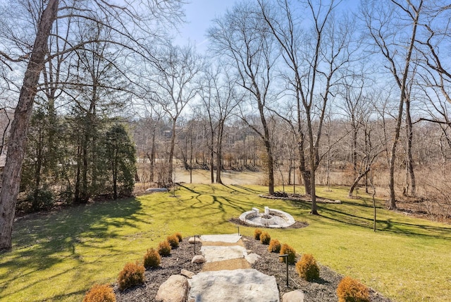 view of yard featuring a fire pit