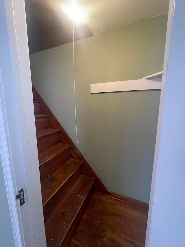 staircase featuring wood finished floors