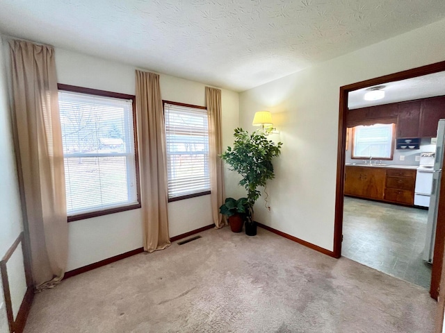 spare room featuring visible vents, baseboards, light colored carpet, a textured ceiling, and a sink