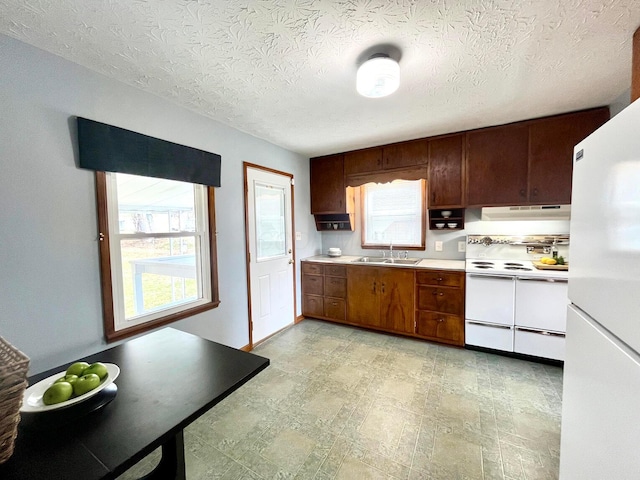 kitchen featuring under cabinet range hood, a sink, a textured ceiling, white appliances, and light countertops