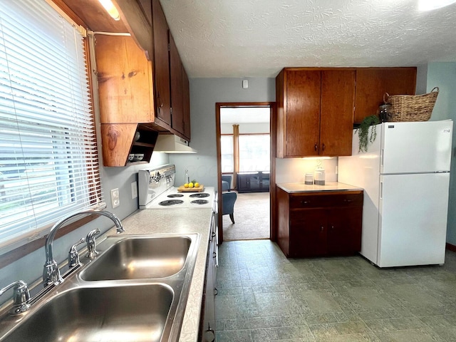 kitchen with white appliances, brown cabinetry, a sink, light countertops, and a textured ceiling