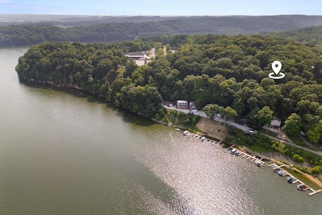 drone / aerial view with a water view and a wooded view