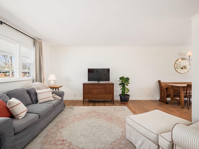 living room with baseboards and wood finished floors