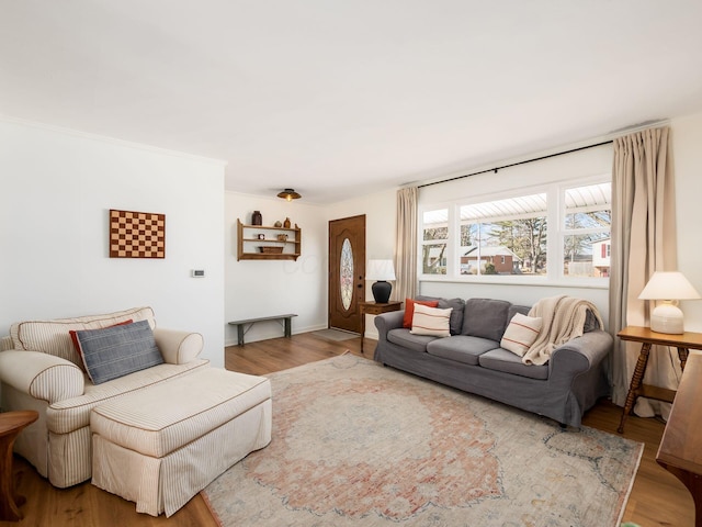 living room featuring wood finished floors