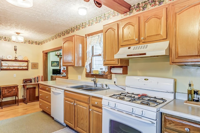 kitchen with under cabinet range hood, a sink, a textured ceiling, white appliances, and light countertops