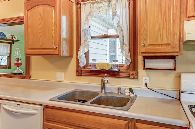 kitchen featuring a sink, white dishwasher, and light countertops