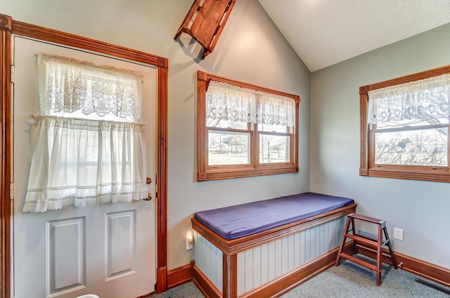 entryway with visible vents, baseboards, carpet, and vaulted ceiling