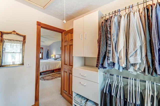 spacious closet featuring light colored carpet