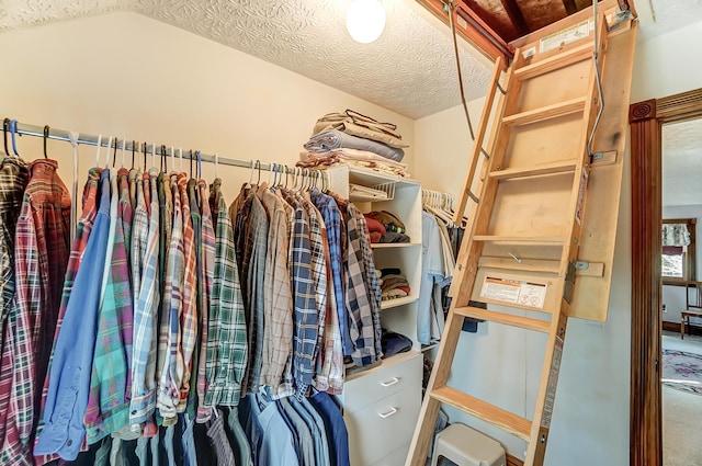 spacious closet with vaulted ceiling