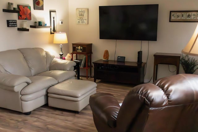 living room with wood finished floors