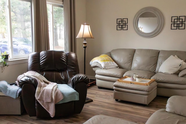 living area featuring wood finished floors