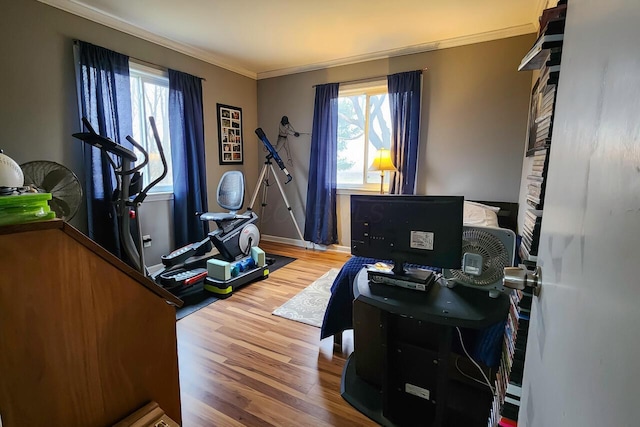 interior space with wood finished floors and crown molding