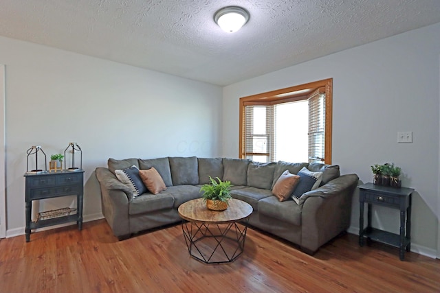 living room with wood finished floors, baseboards, and a textured ceiling