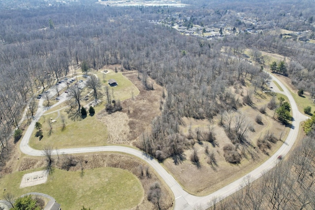 bird's eye view with a forest view