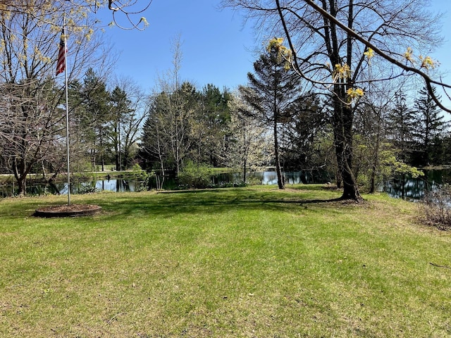 6980 S Old State Rd, Lewis Center, OH 43035 - view of yard featuring a water view
