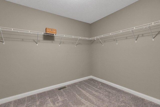 walk in closet featuring carpet flooring and visible vents