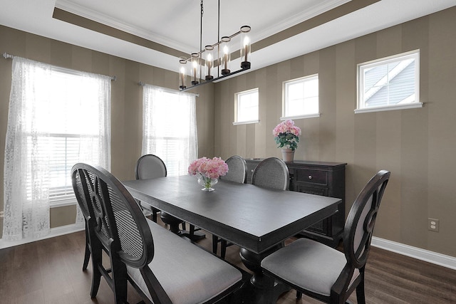 dining room featuring a raised ceiling, wood finished floors, baseboards, and ornamental molding