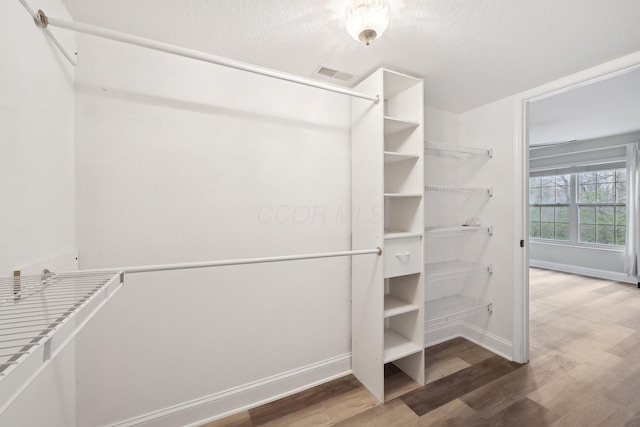 spacious closet featuring wood finished floors and visible vents