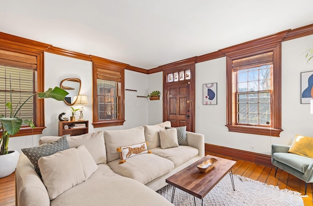 living room with ornamental molding, baseboards, and hardwood / wood-style floors