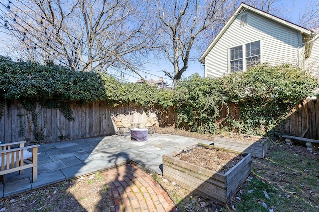 view of yard featuring a vegetable garden, a patio area, and a fenced backyard