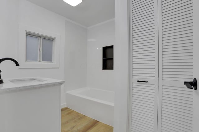 bathroom with vanity, wood finished floors, and a closet