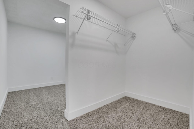 spacious closet with carpet floors