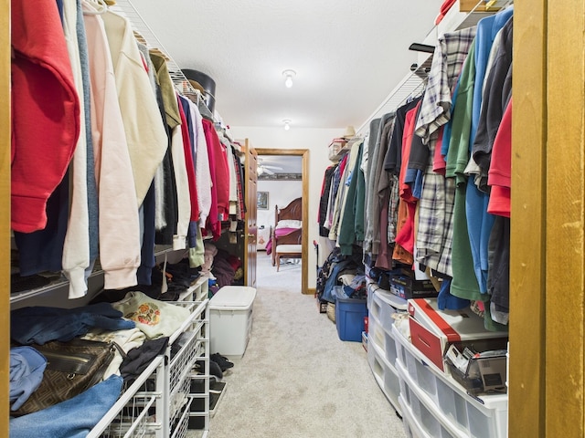 spacious closet with carpet flooring