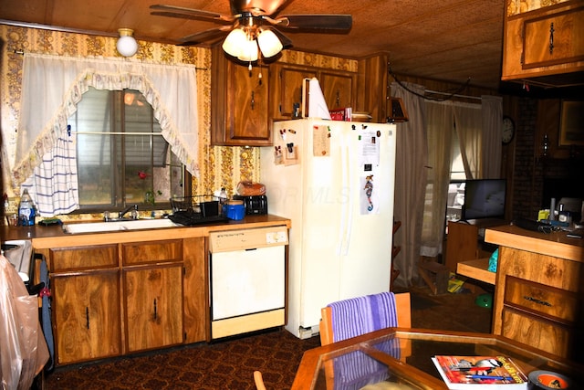 kitchen with brown cabinets, a sink, white appliances, light countertops, and ceiling fan