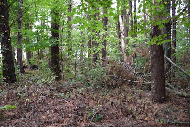 view of nature featuring a forest view