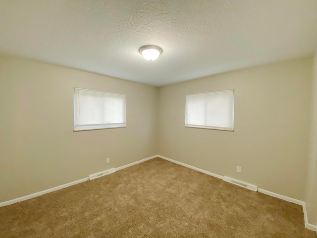 1309 Shanley Dr, Columbus, OH 43224 - carpeted spare room with plenty of natural light, baseboards, and a textured ceiling