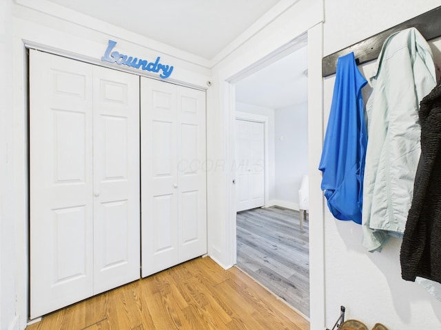 interior space with a closet and light wood finished floors