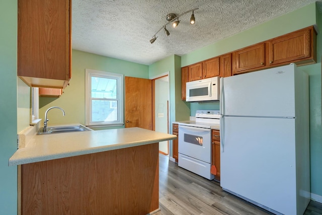 kitchen featuring light wood finished floors, a sink, white appliances, brown cabinetry, and light countertops