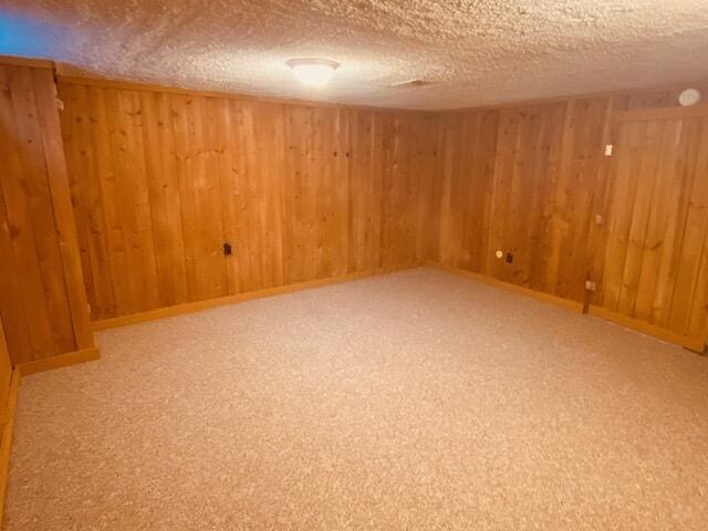 spare room featuring carpet flooring, wood walls, and a textured ceiling