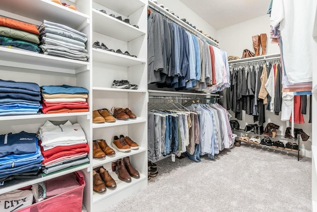 walk in closet featuring carpet flooring