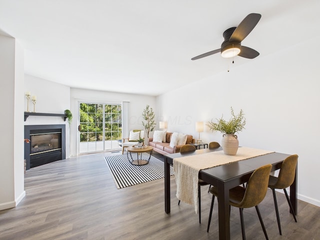 living area with a glass covered fireplace, baseboards, and wood finished floors