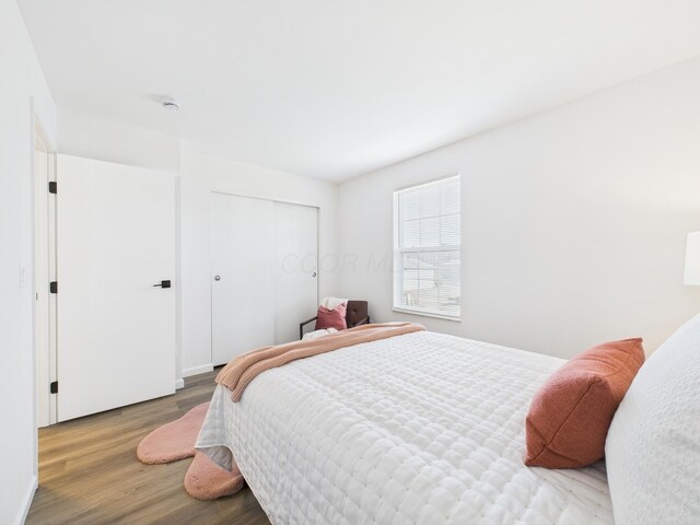 bedroom with a closet and wood finished floors