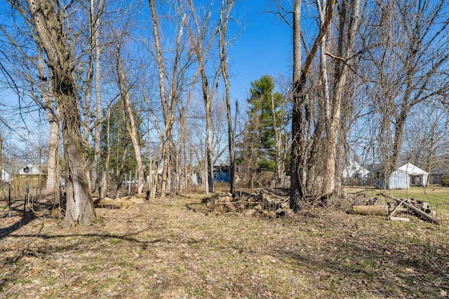 view of yard with a garage