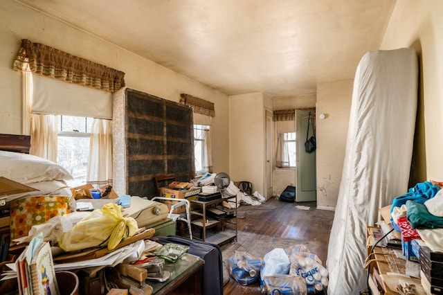 misc room featuring a wealth of natural light and hardwood / wood-style floors