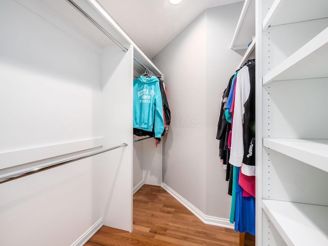 walk in closet with light wood-type flooring