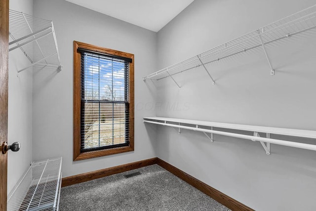 spacious closet with visible vents and carpet floors