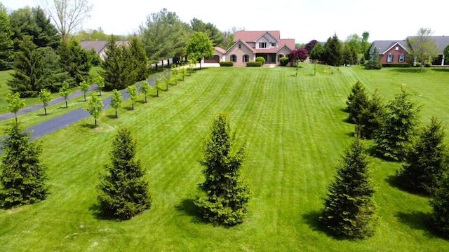330 Longshore Rd, Sunbury, OH 43074 - view of yard