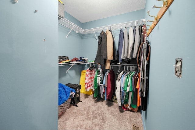 spacious closet featuring visible vents and carpet floors