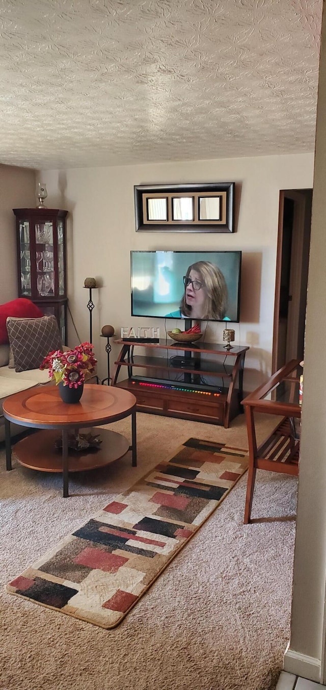 carpeted living room with a textured ceiling