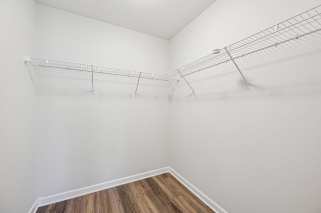 walk in closet with dark wood-style flooring