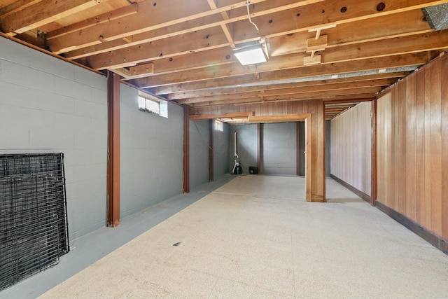 basement with concrete block wall