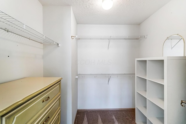 spacious closet featuring dark colored carpet