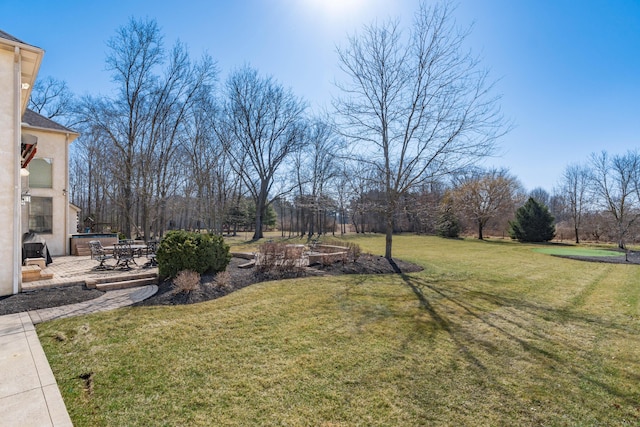 view of yard featuring a patio area